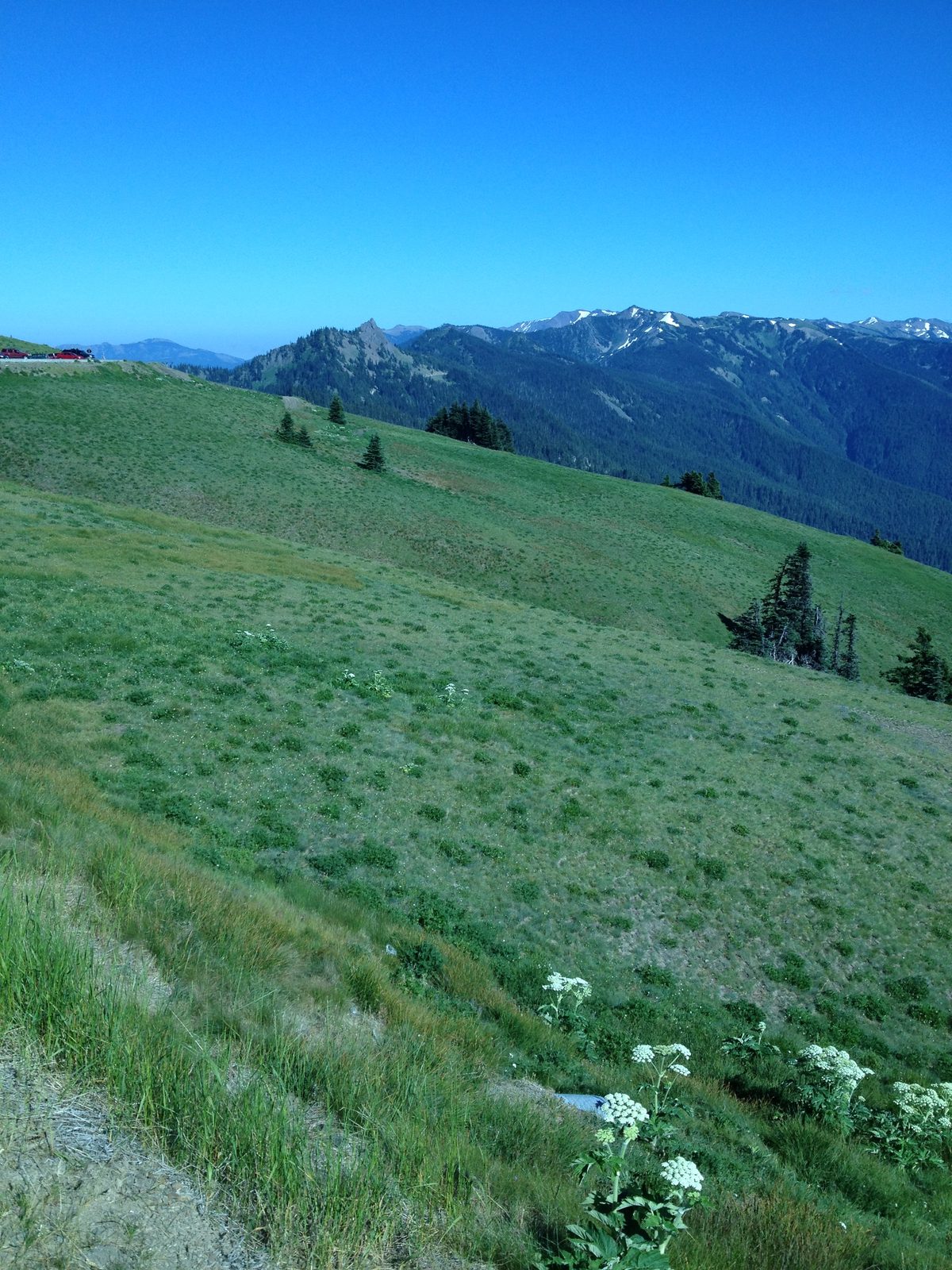 Meadows, wildflowers, distant peaks.  A beautiful spot.